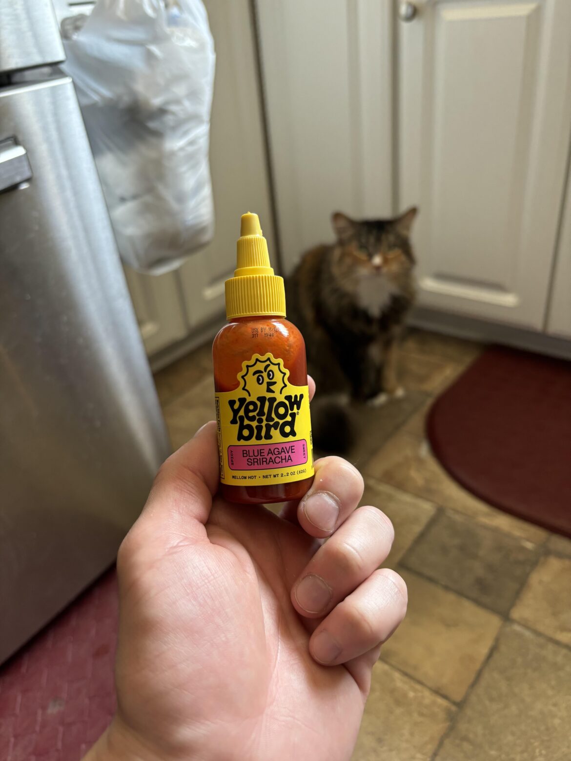 What’s everyone’s thoughts?