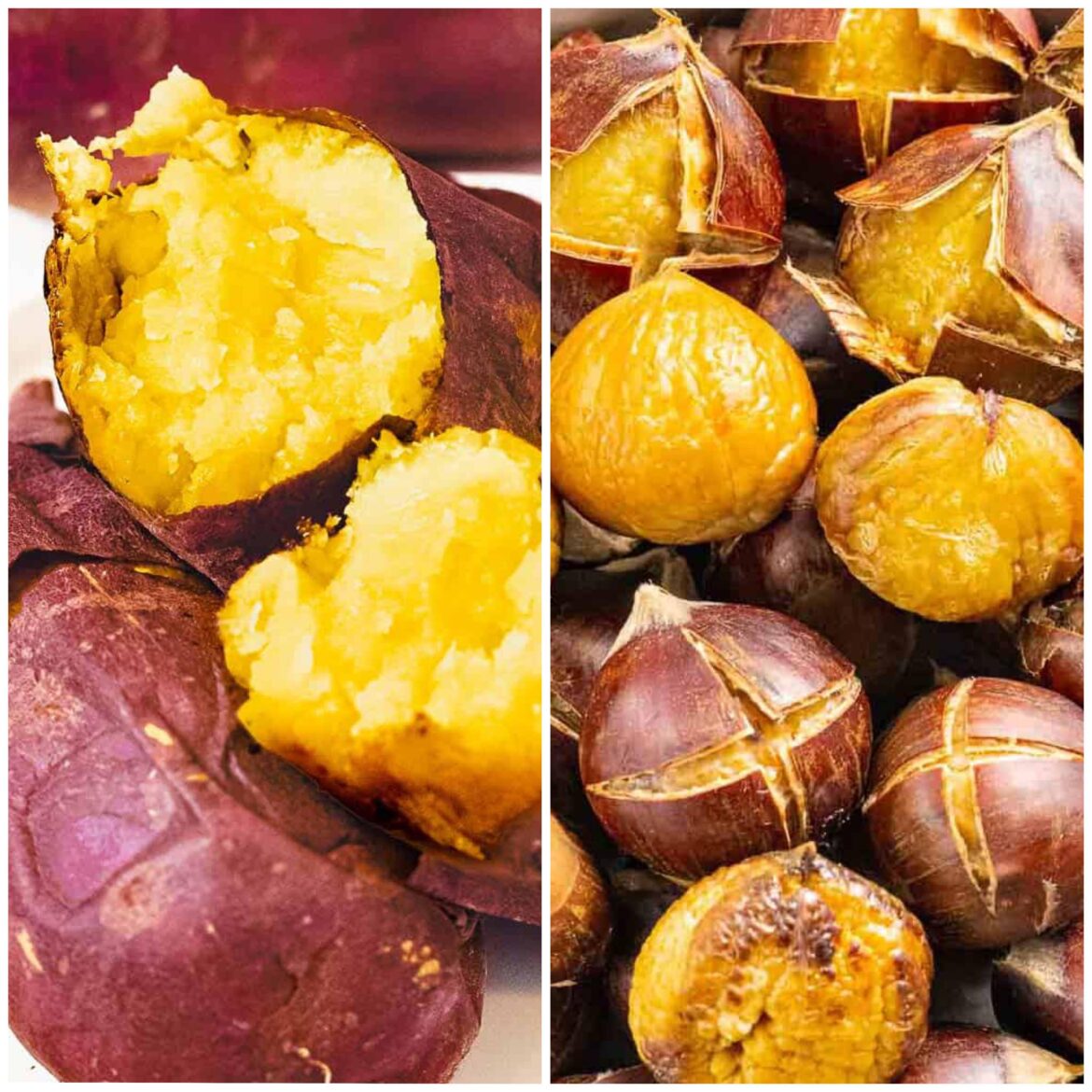 VS part 13. Roasted. Pick one and comment why