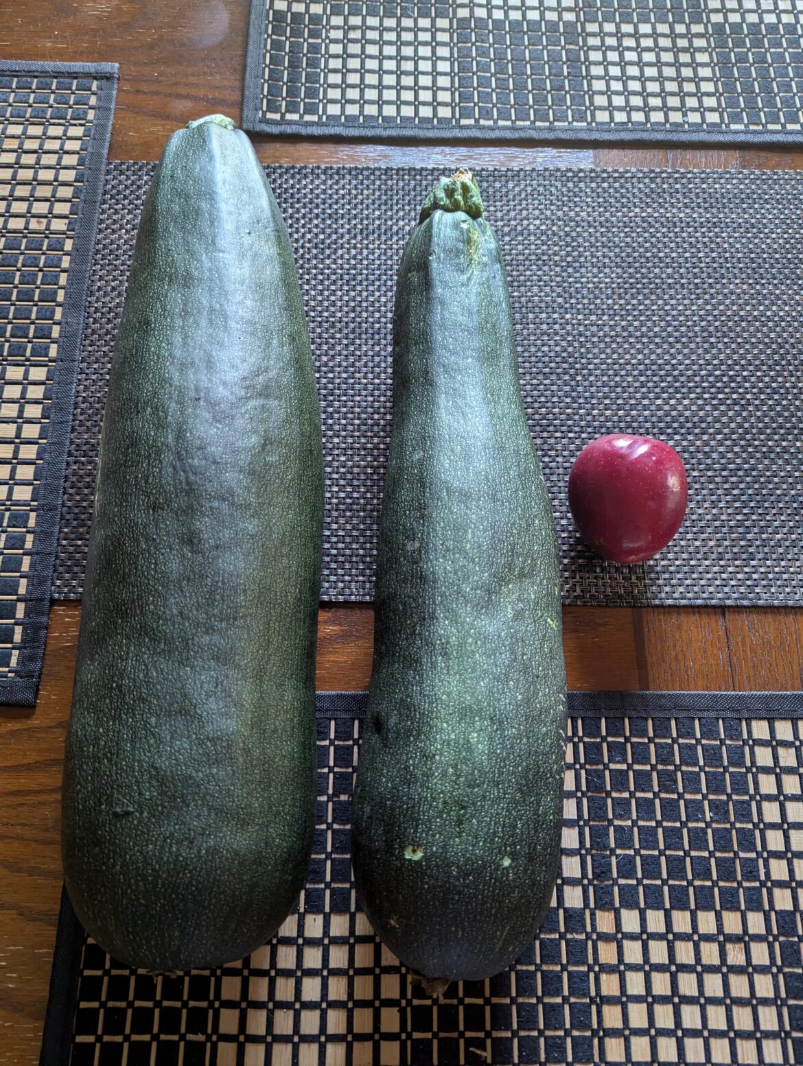 Giant Zucchini, looking for stuffing recipe.