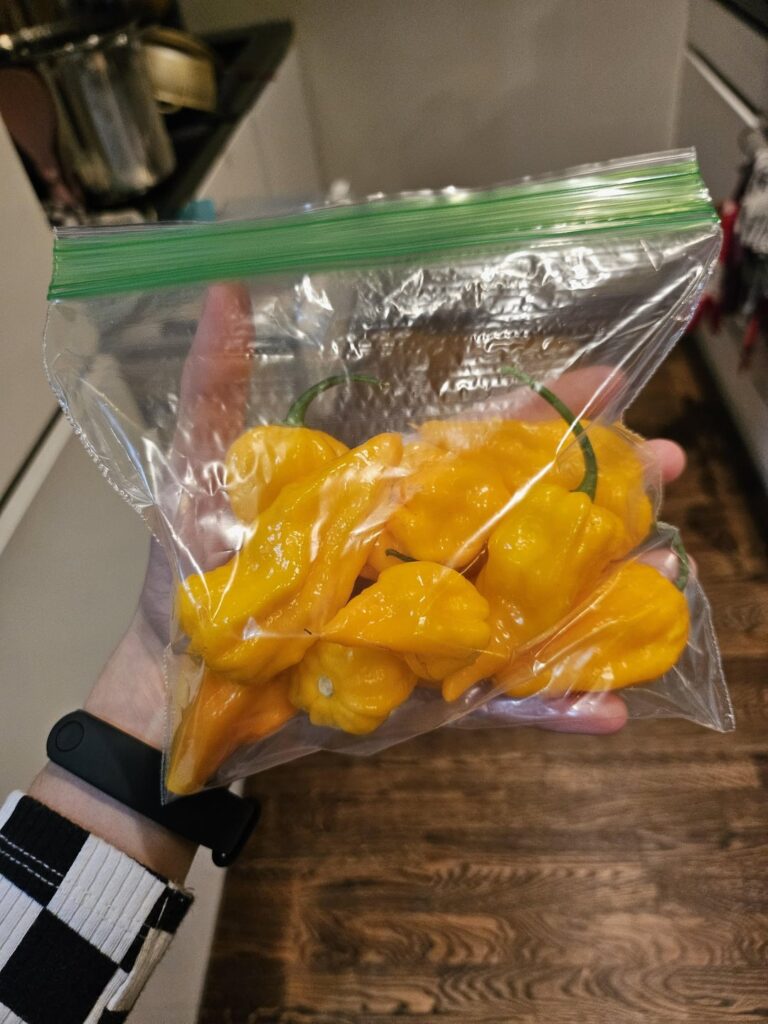 What could these be?