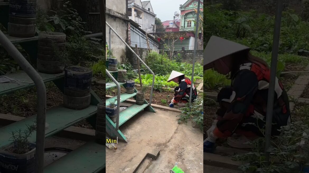 Trồng cây là niềm vui của Tôi #vegetable #garden