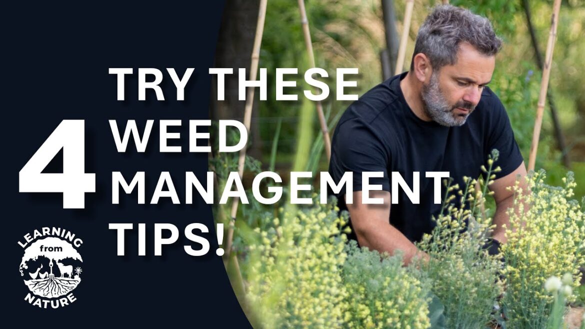 How to manage Weeds in your Vegetable Garden