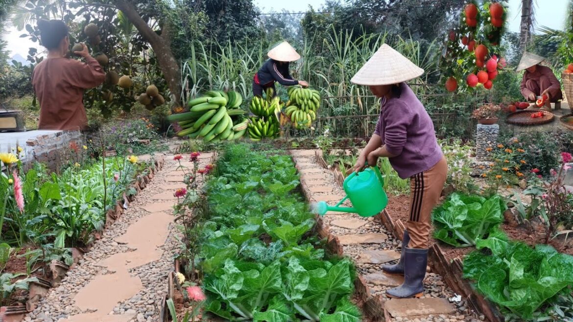 Full video of 20 days of gardening, growing vegetables, harvesting and cooking Full video of 20 days of gardening, growing vegetables, harvesting and cooking