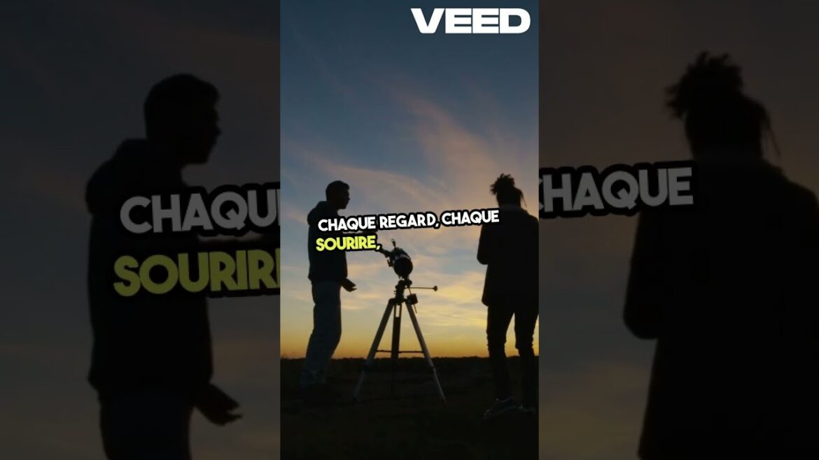 Les âmes sœurs  Le lien inébranlable #facts #temperature #dewpointtemperature #cat