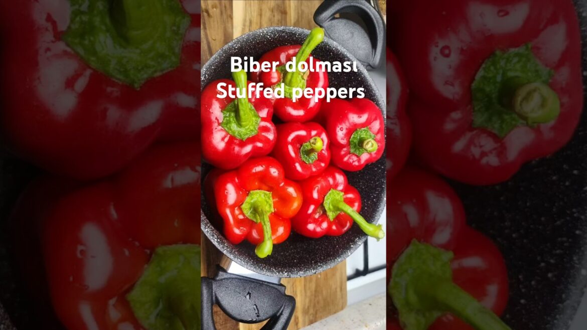 Türk tipi biber dolması tarifi – Turkish style stuffed pepper recipe #biberdolması #dolmatarifi Türk tipi biber dolması tarifi - Turkish style stuffed pepper recipe #biberdolması #dolmatarifi