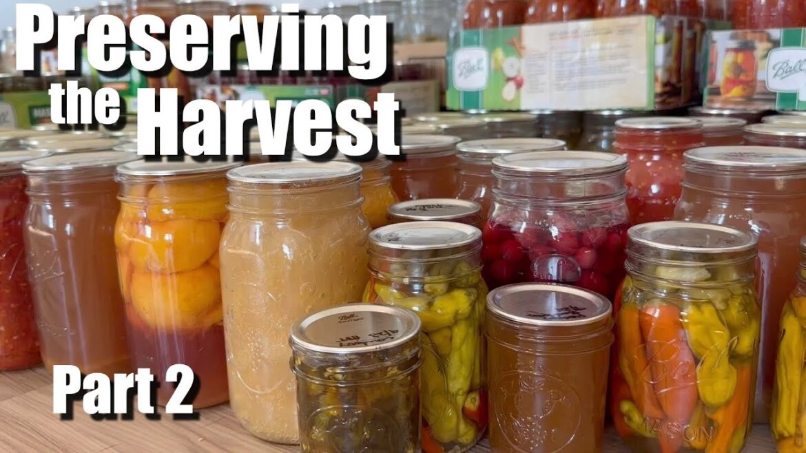 My FAVORITE preserving recipes // Everything I'm preserving right NOW from the garden!