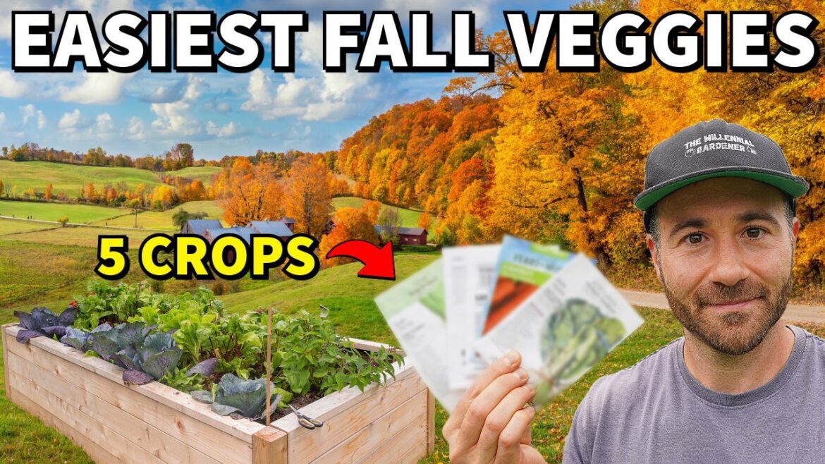 5 Easy Veggies To Plant In Fall NOW And FORGET All Winter!