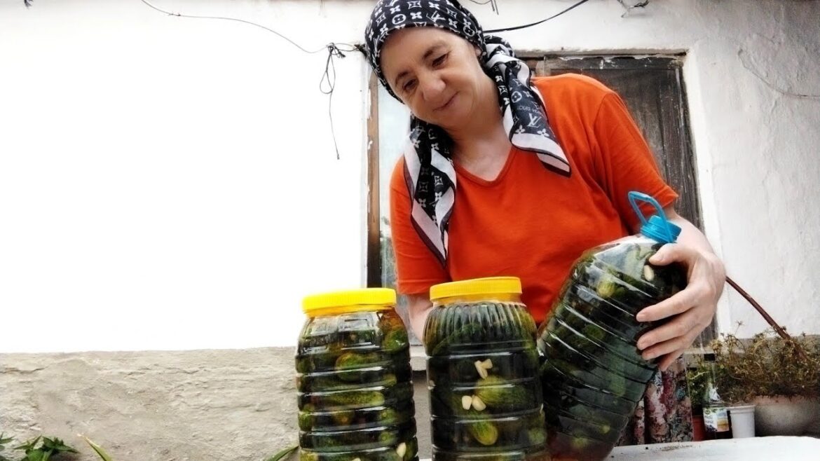 #canlı Kütür Kütür Turşucuların Kıskandığı  Kornişon Salatalık Turşusunu Kuruyoruz