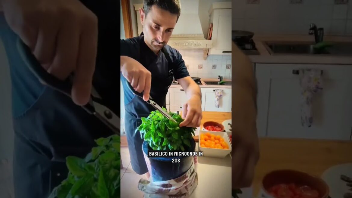 Risotto all'acqua di pomodoro, capperi fritti e polvere di basilico