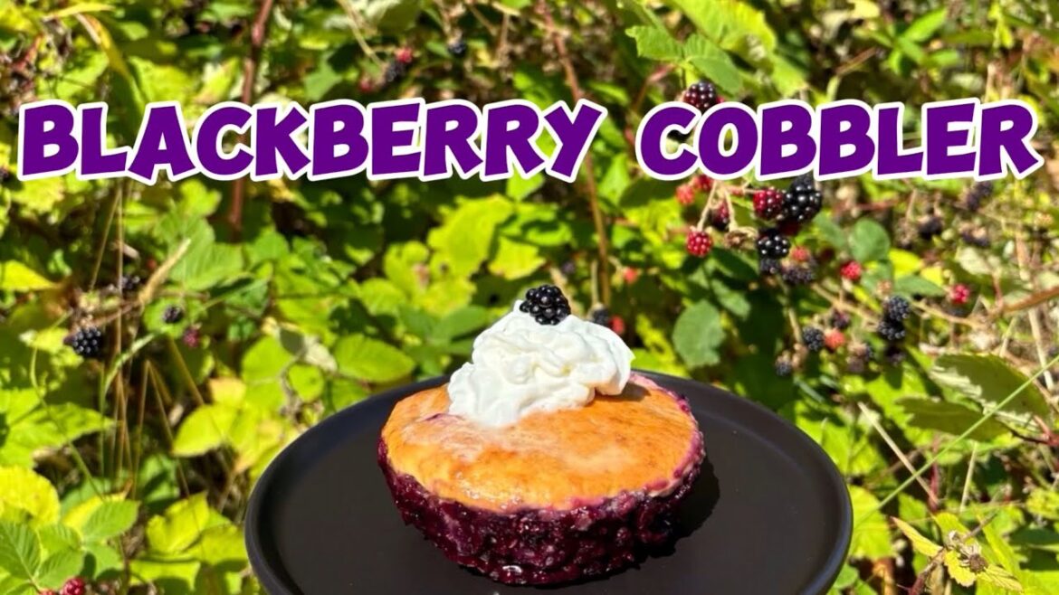 Blackberry Cobbler Recipe (Camoflage Lesson) Blackberry Cobbler Recipe (Camoflage Lesson)