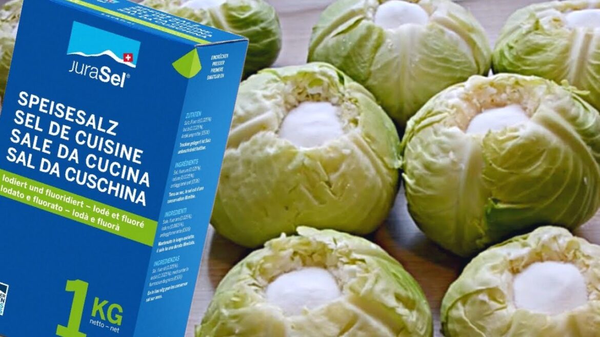 Wann ist der richtige Zeitpunkt, traditionelles Sauerkraut selbst einzulegen? Rezept