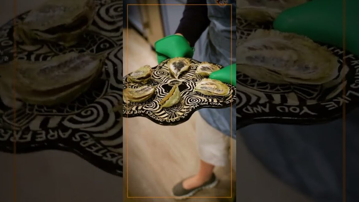 Cooked Oysters on the Half Shell Cooked Oysters on the Half Shell