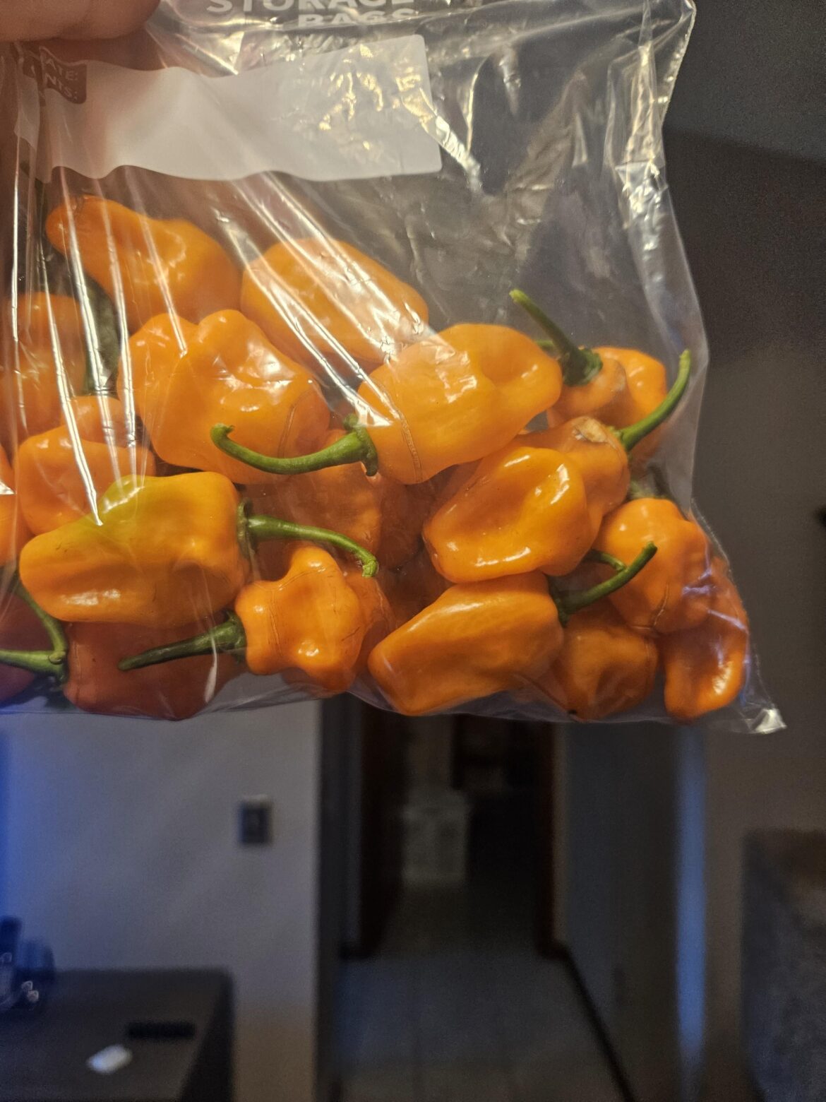 Help identifying peppers. What kind of pepper are these?