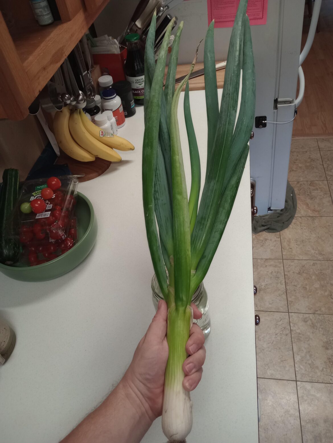 The most amazing green onion I've ever seen!