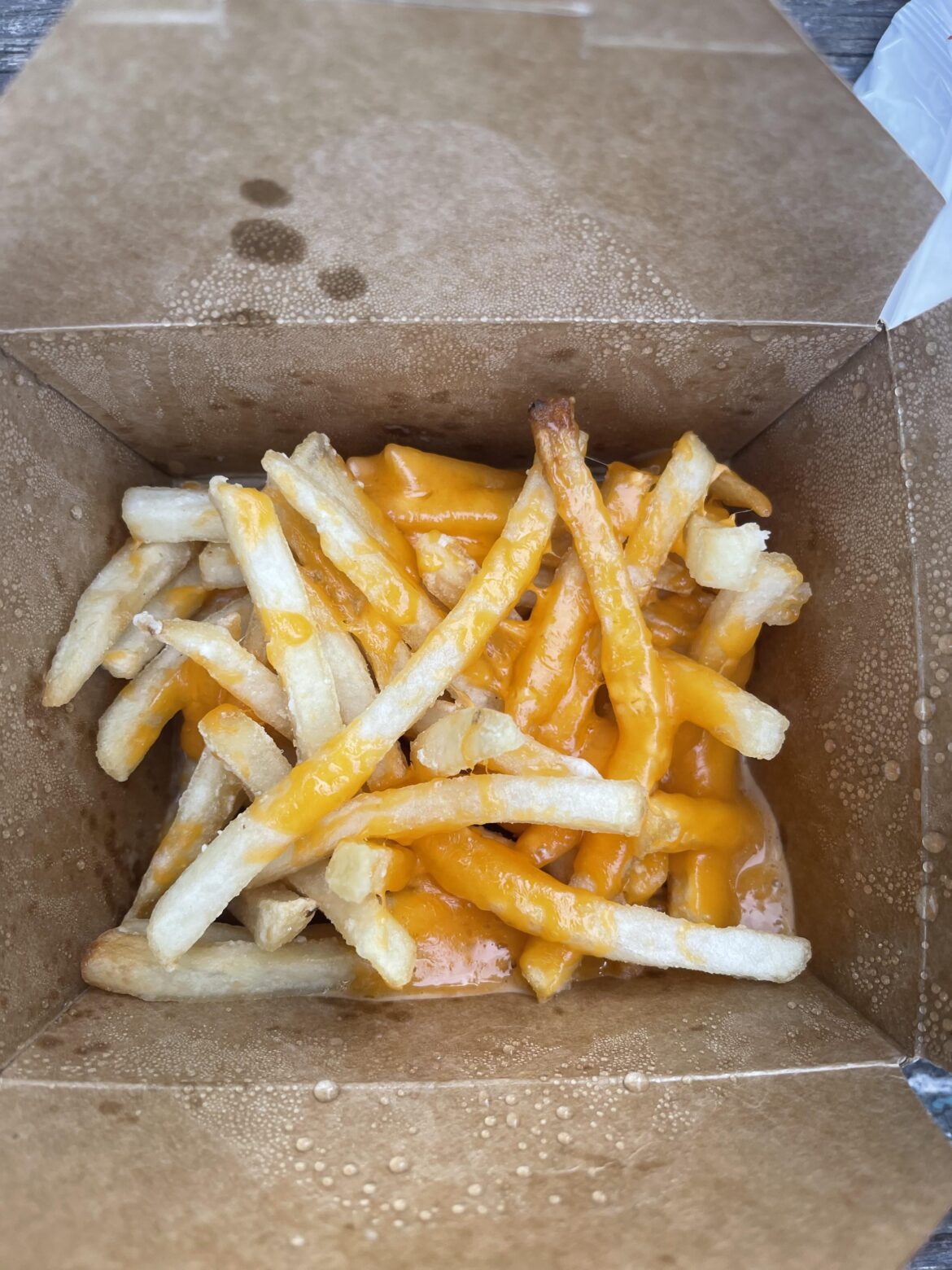 The Cheese Fries From Elijah’s Automatic