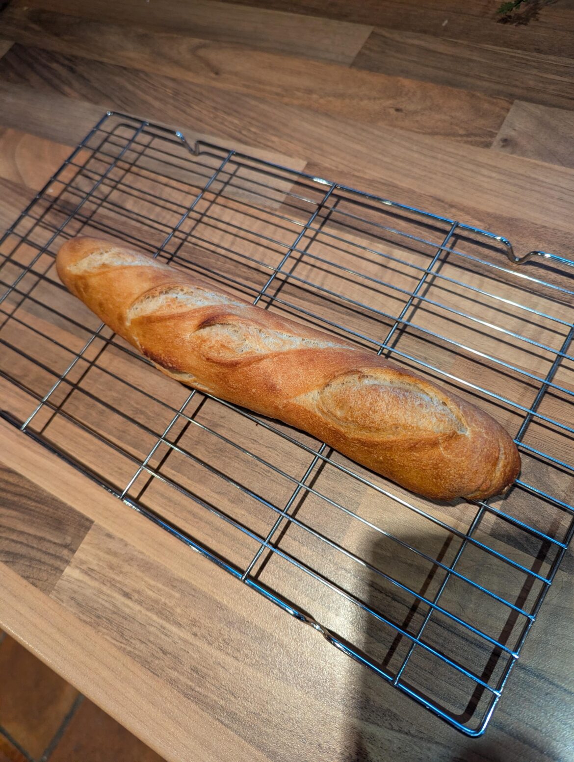 2nd attempt at bread. So happy with it!