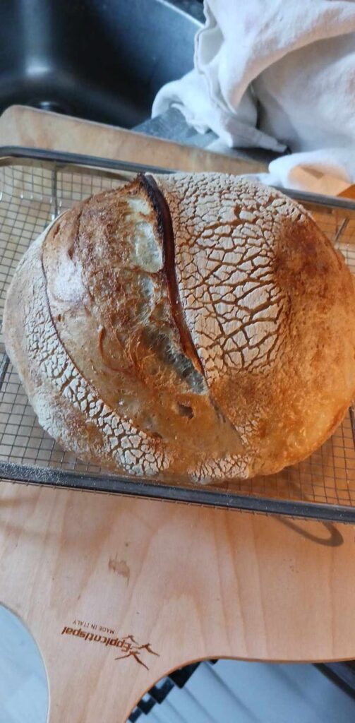 Sourdough