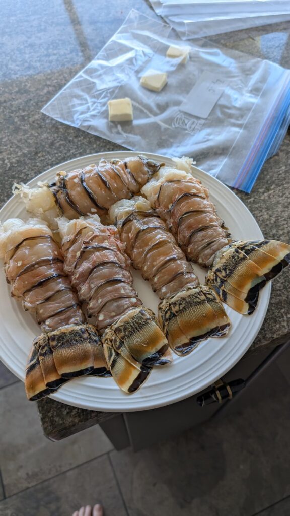 Lobster tail Lobster tail