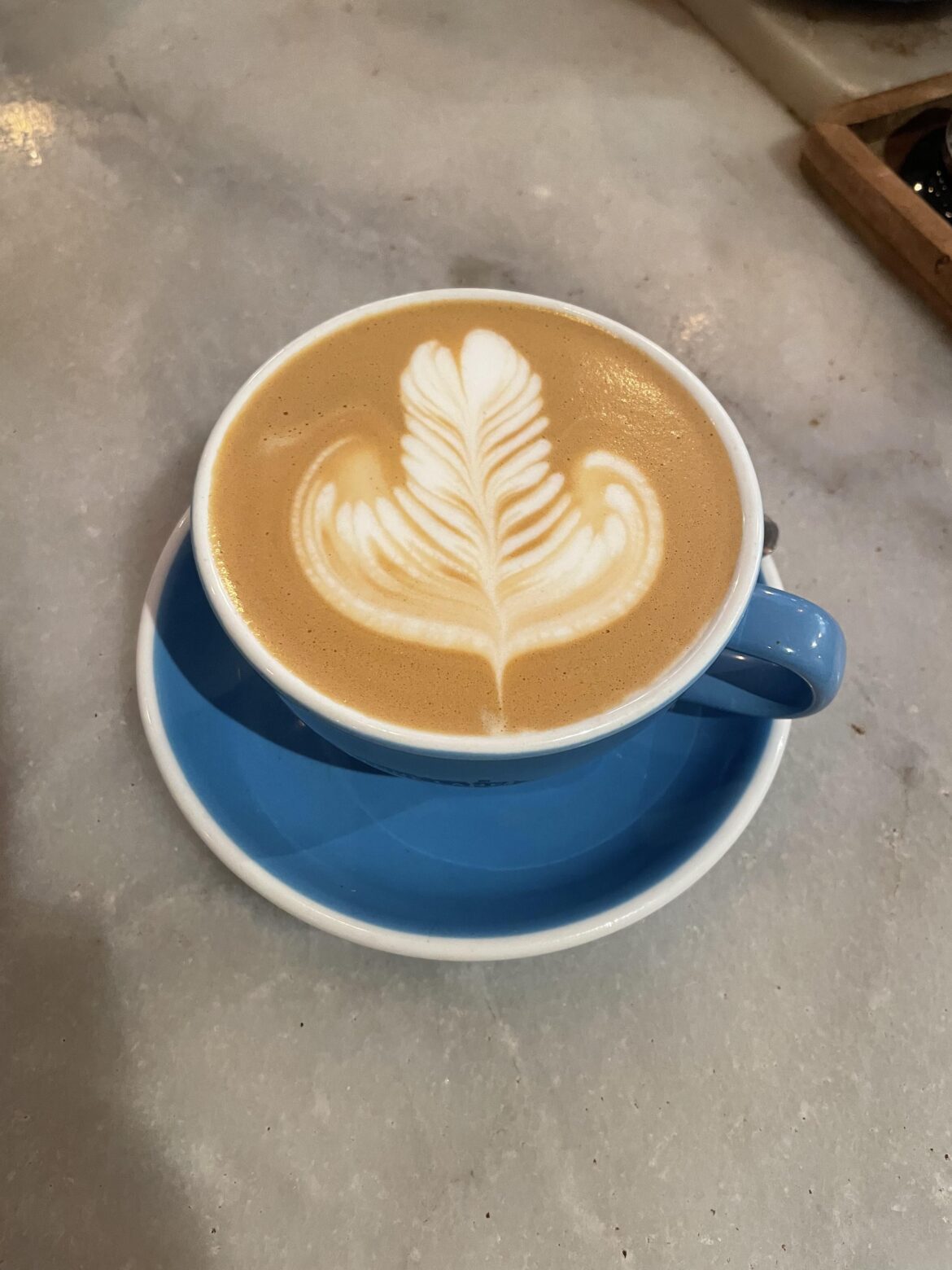 Help! Does my Rosetta look like a wiener? 😭