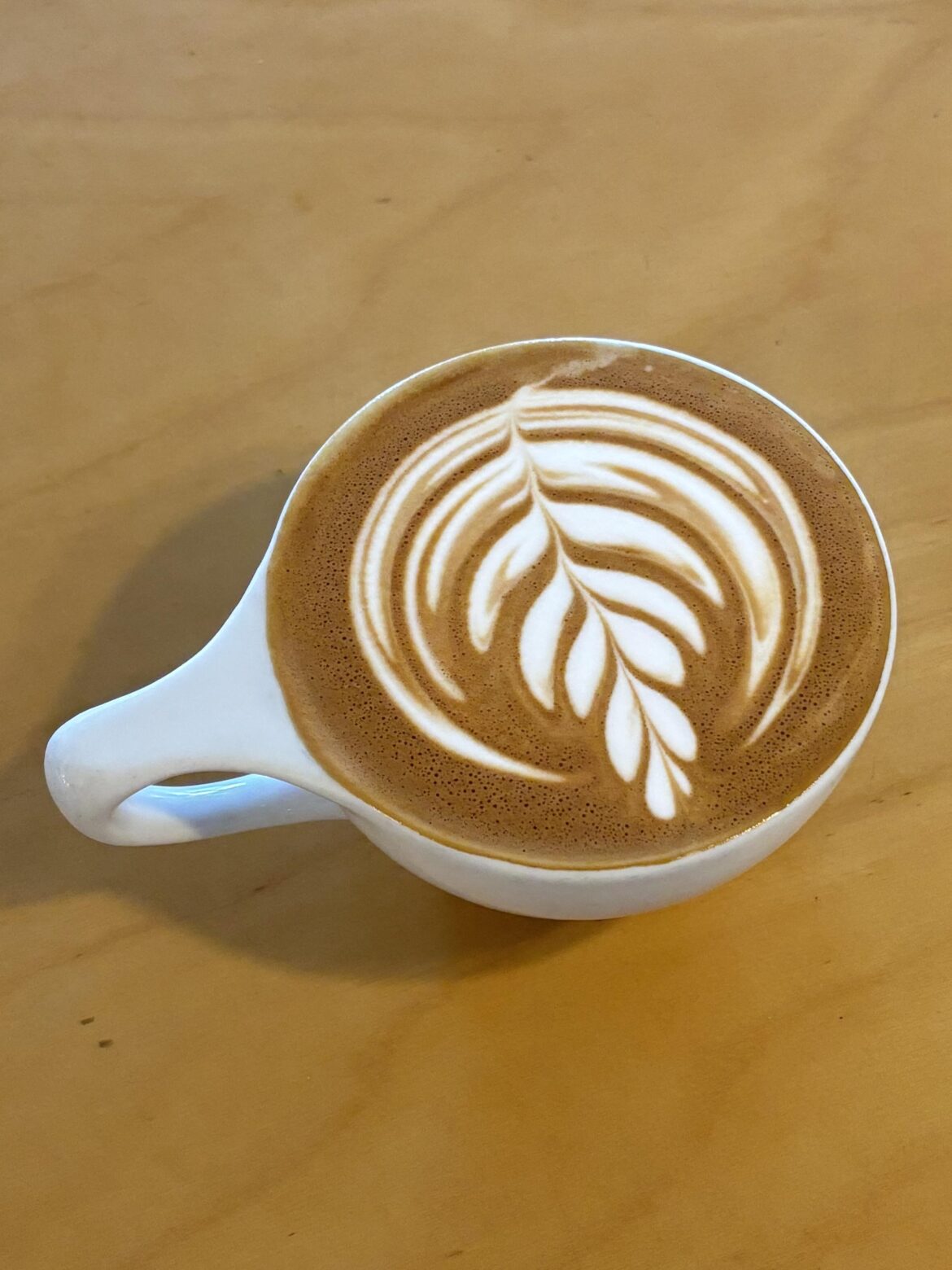 i poured a latte for john cena this morning