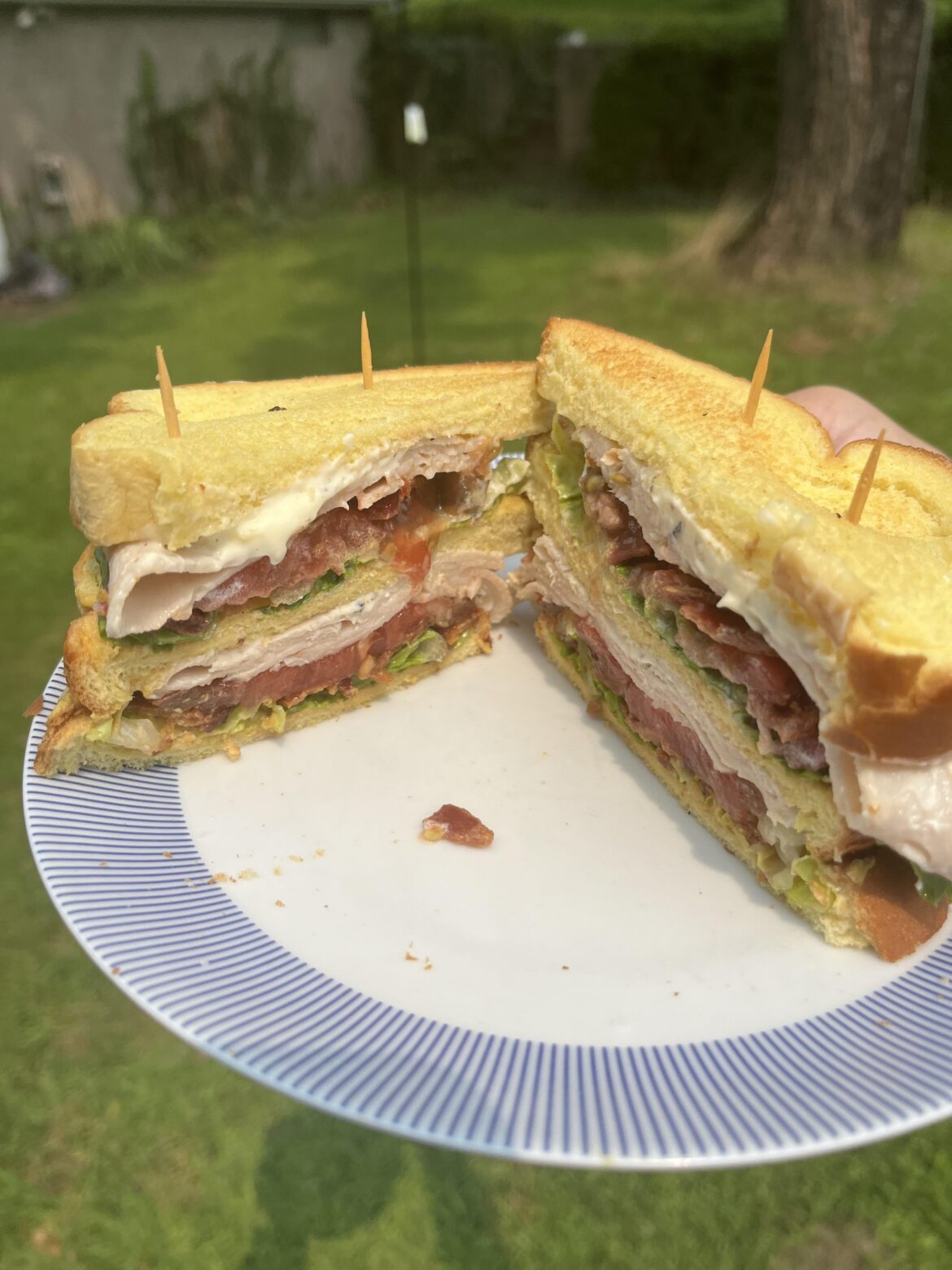 An honest turkey club, for honest people