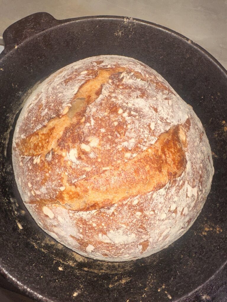 first time sourdough ????
