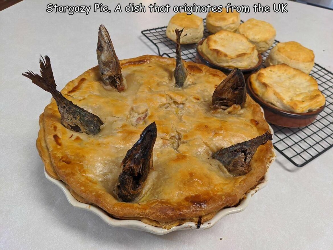 Have you ever tried it? How is it?