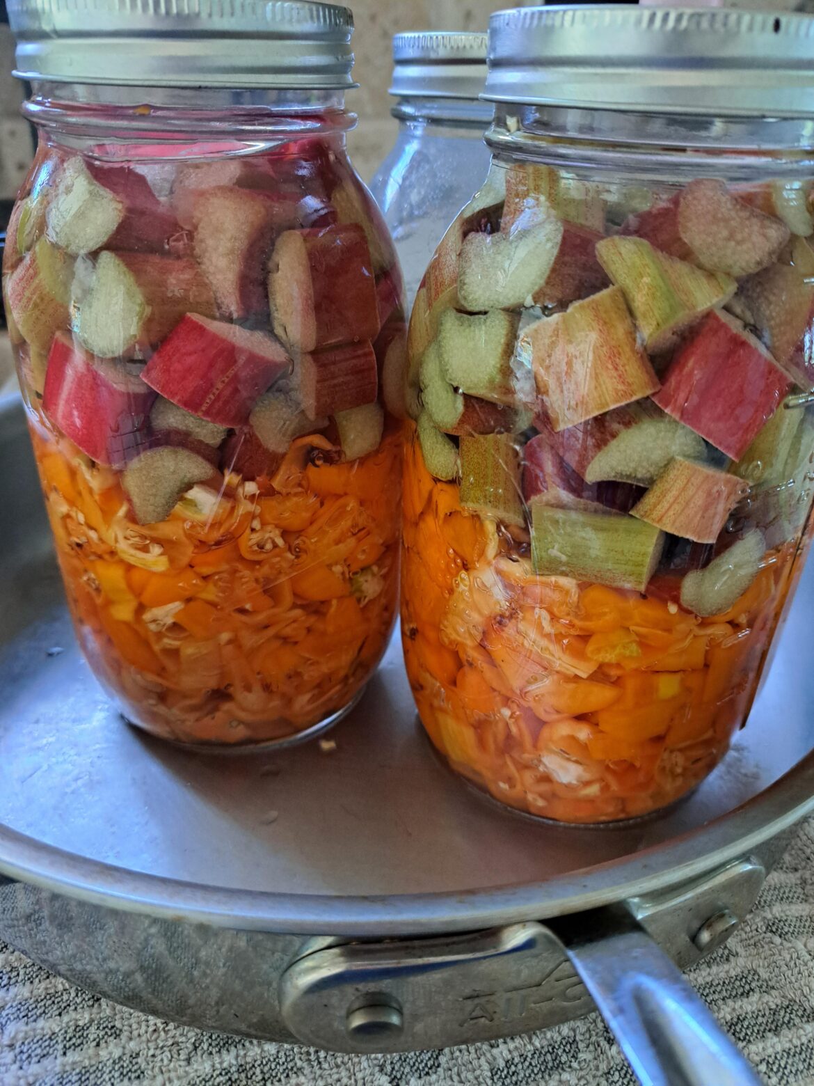 Future habanero and rhubarb sauce, now we wait.