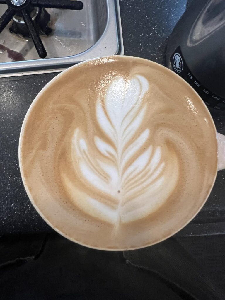 slowly getting my rosetta down