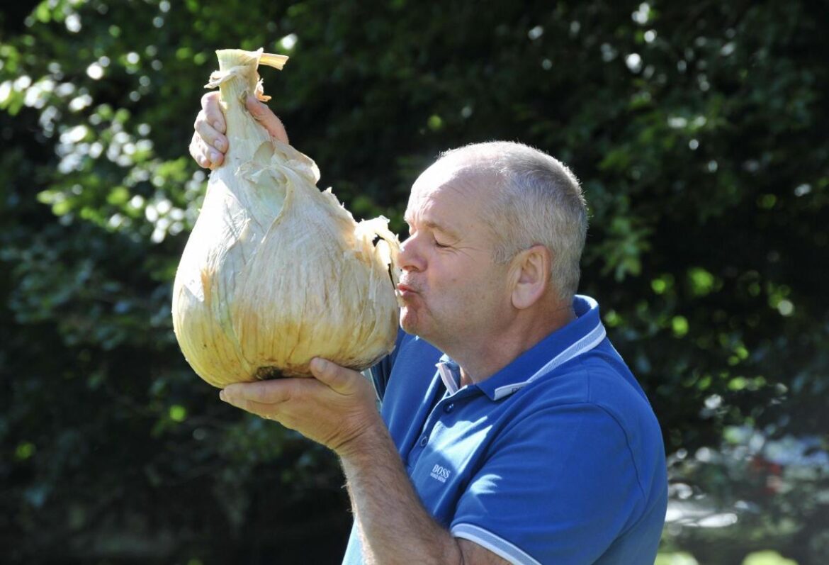 For anybody that wanted a closer look