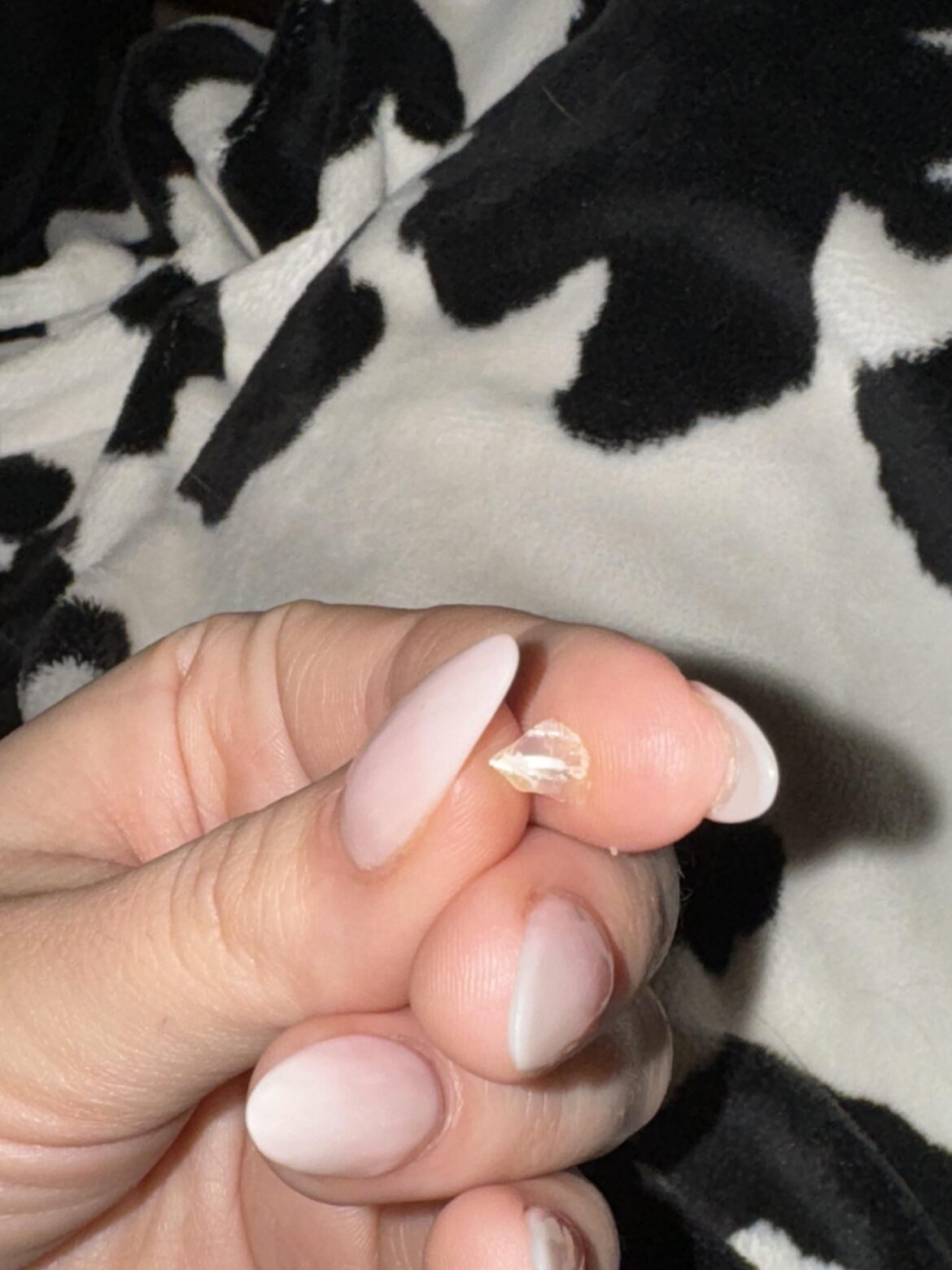 GLASS IN OUR FOOD?? GLASS IN OUR FOOD??