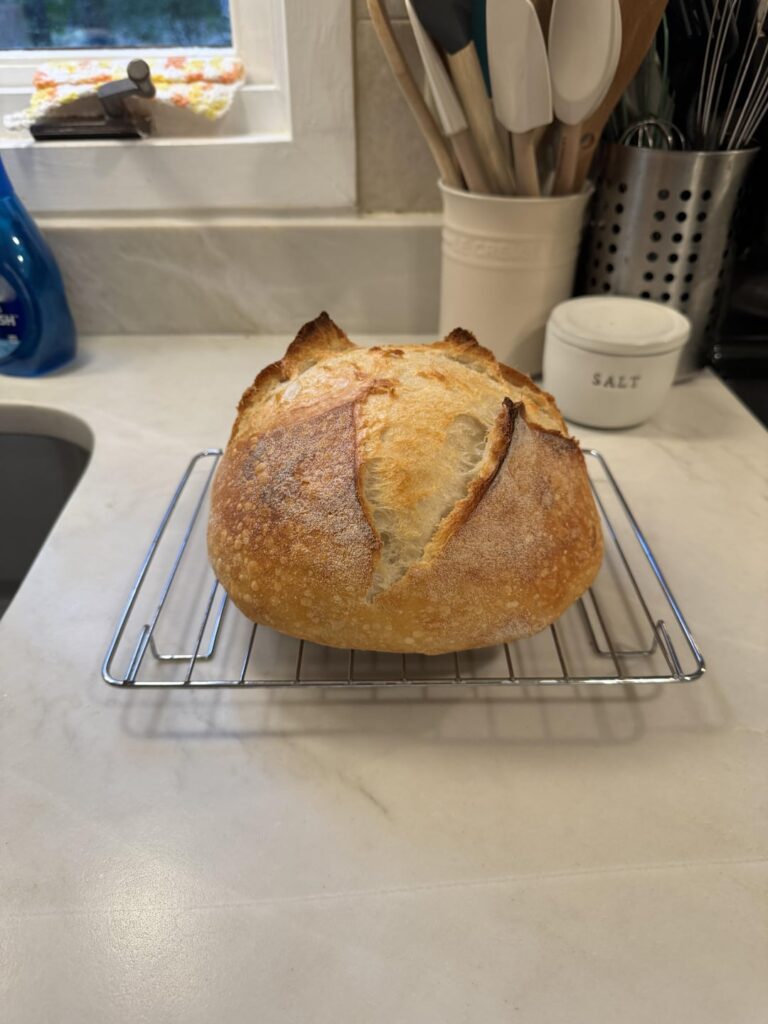 First sourdough loaf from my neglected starter