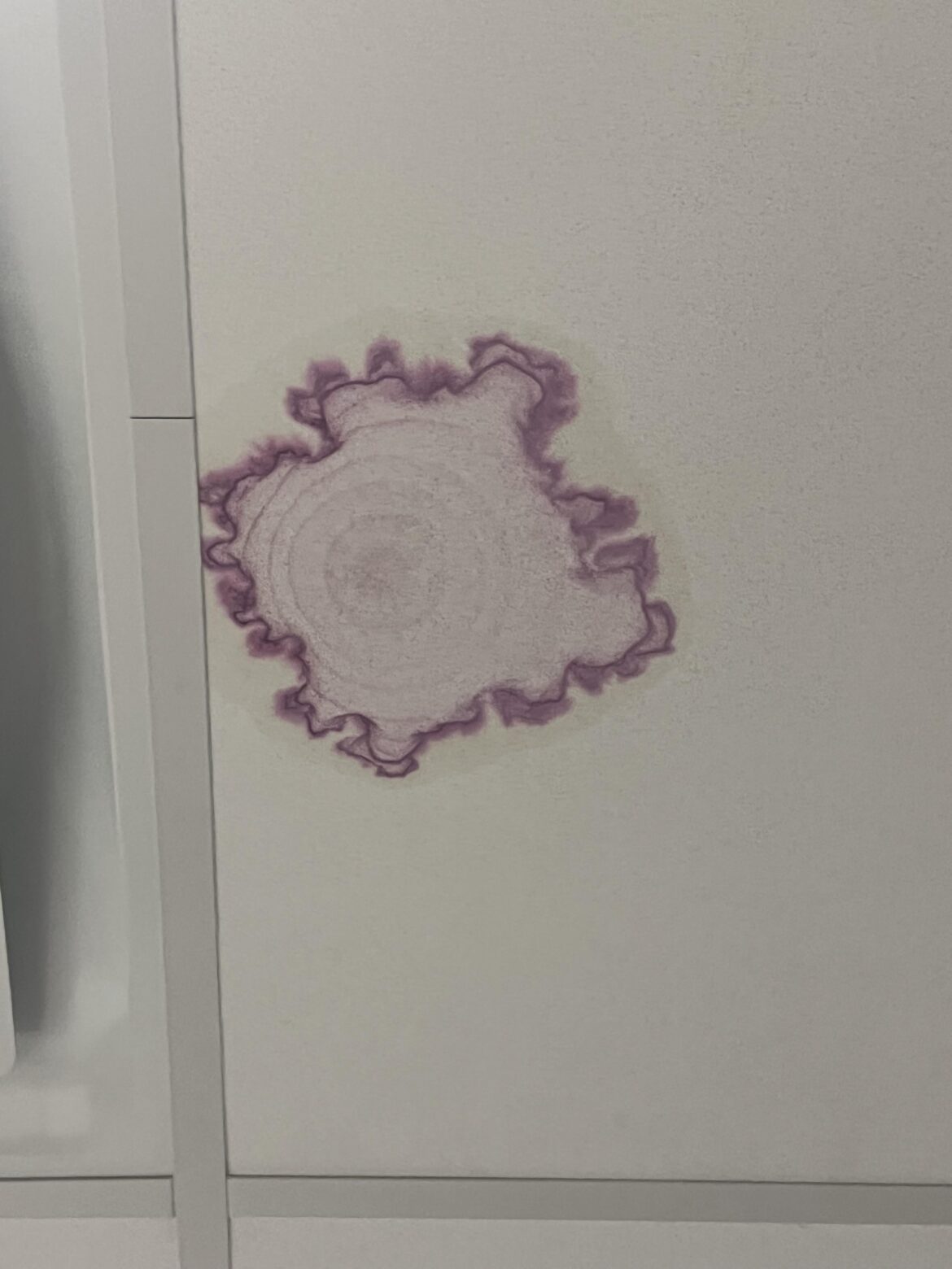 Suggestive Ceiling Tile Mold