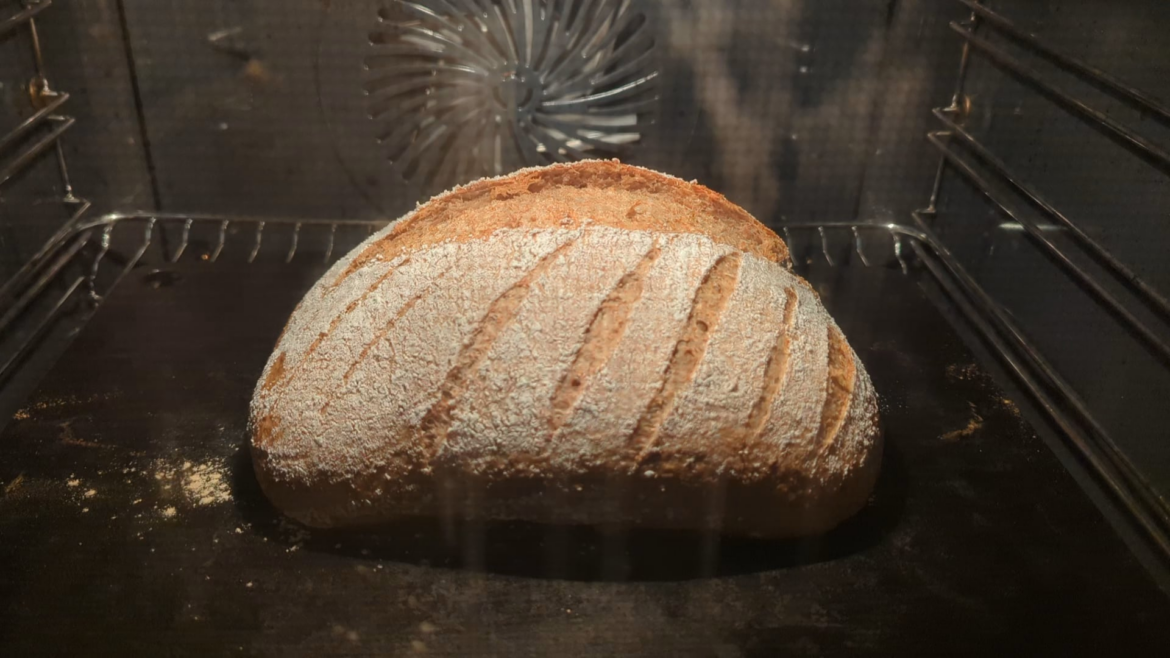 I started making timelapses of my bread in the oven