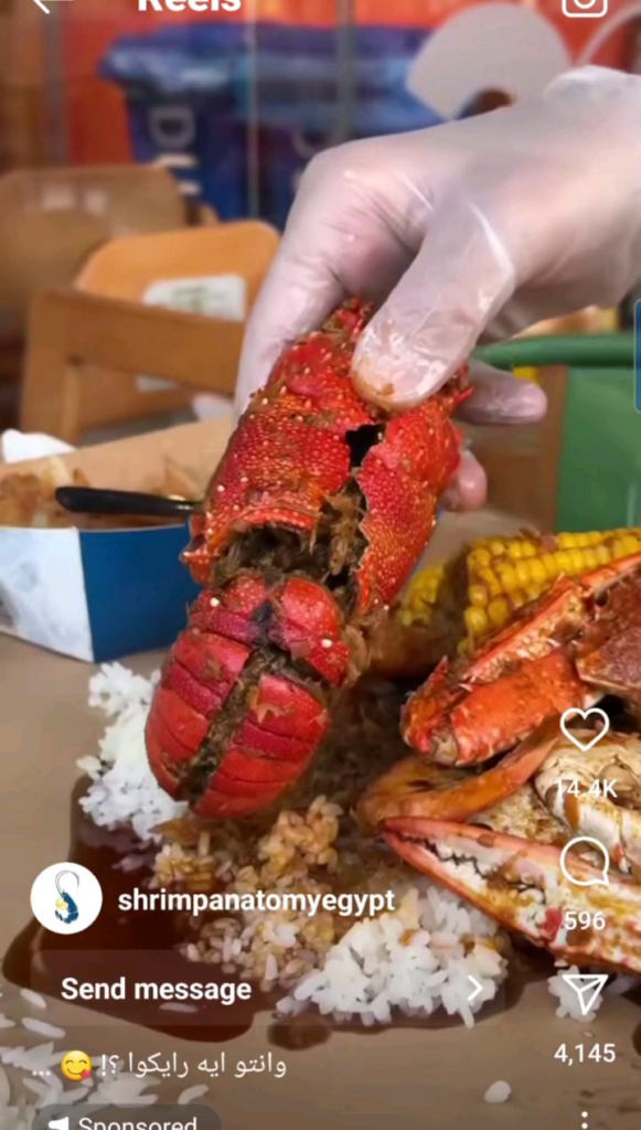 feeding your farm animals like