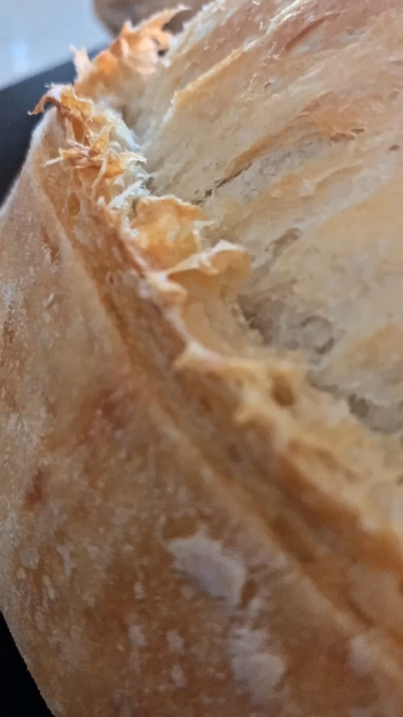 Sourdough, Proof differences & Money Shot
