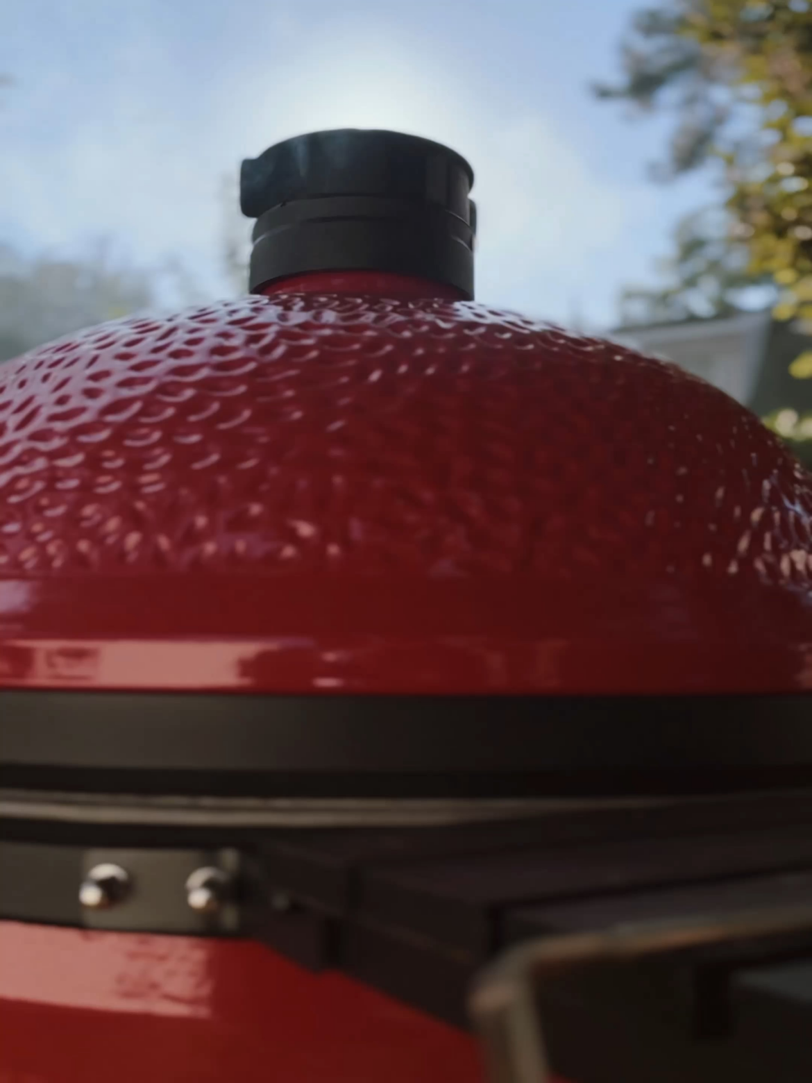 Pork Chops and more learning Pork Chops and more learning