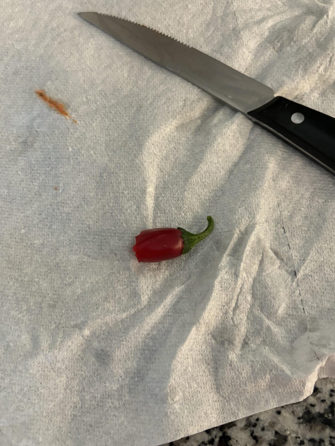 Jalapeño from my dad’s garden