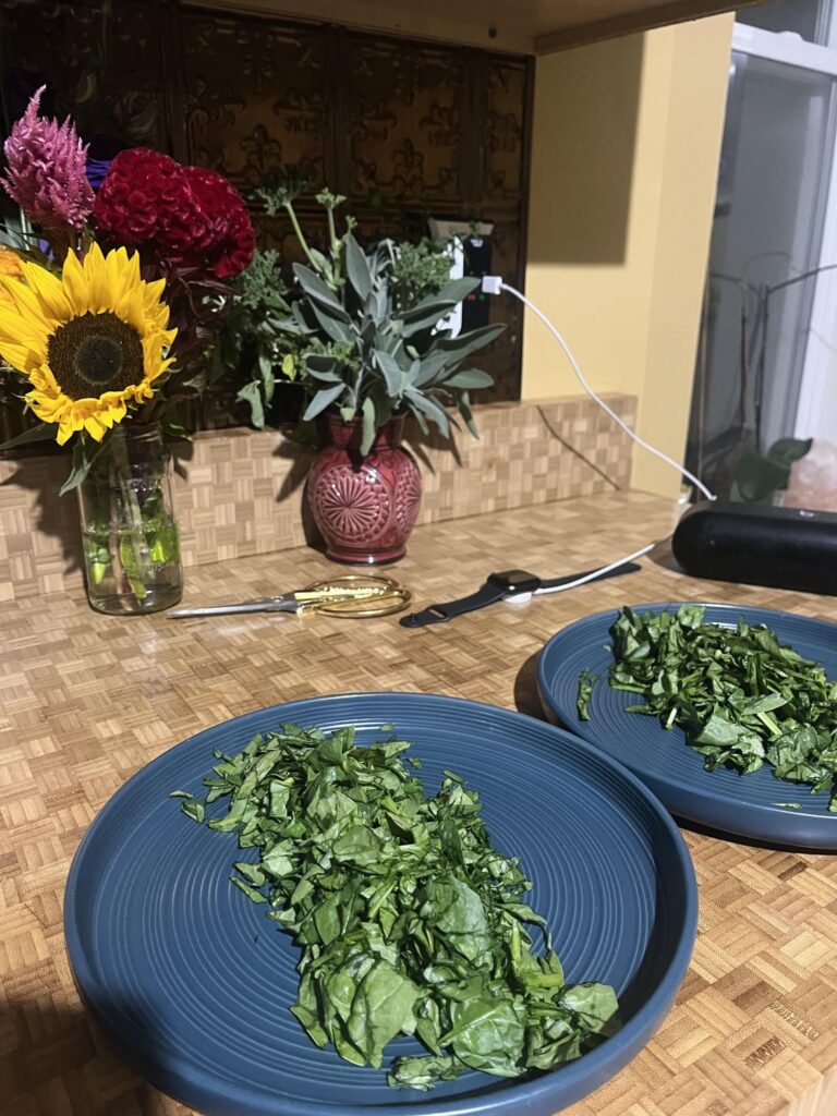 My Big Fat Homemade Greek Salad