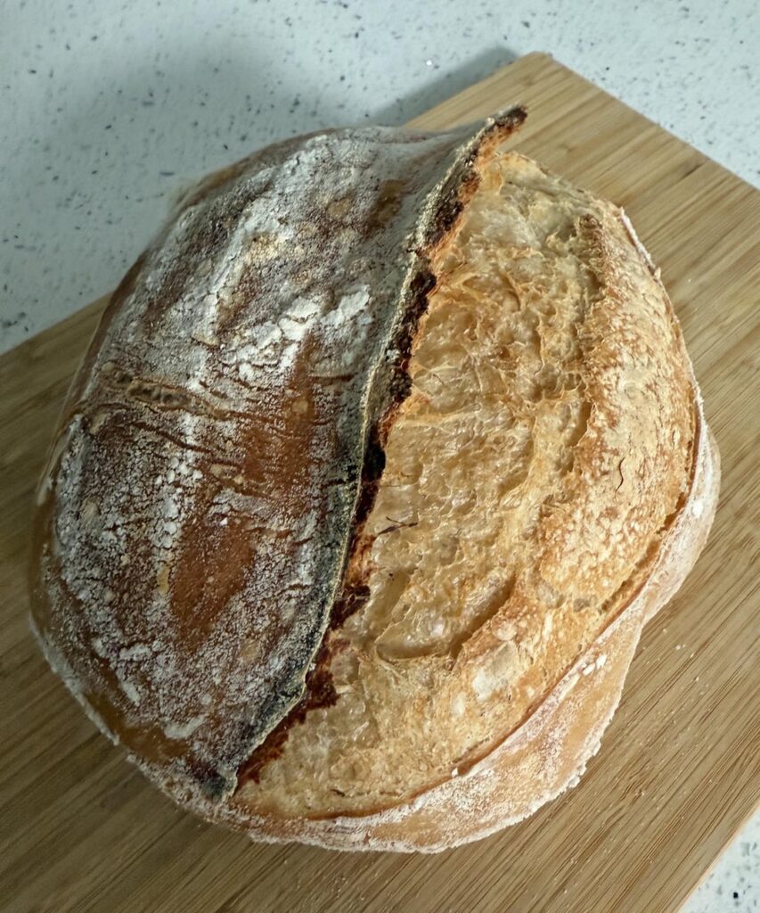 Baking for ~6 months. How am I doing?