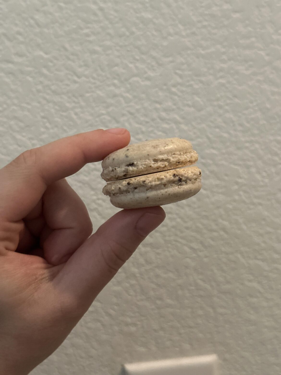 cookies n cream shells