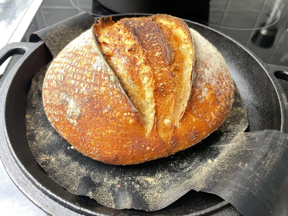 My first sourdough bread