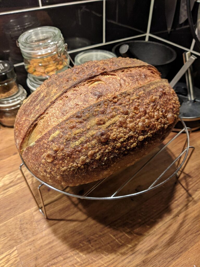 Amazing bread with 37% protein