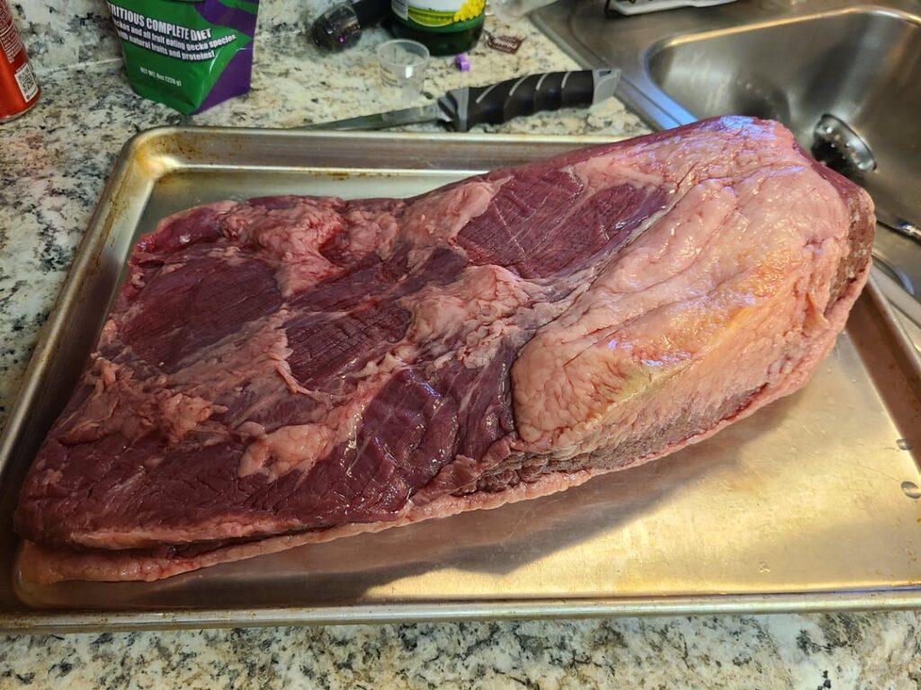 First brisket update