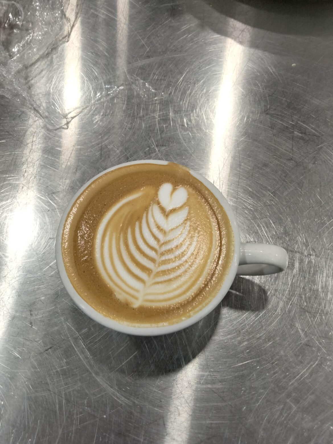 Just a nice morning 10 layer tulip, thoughts?