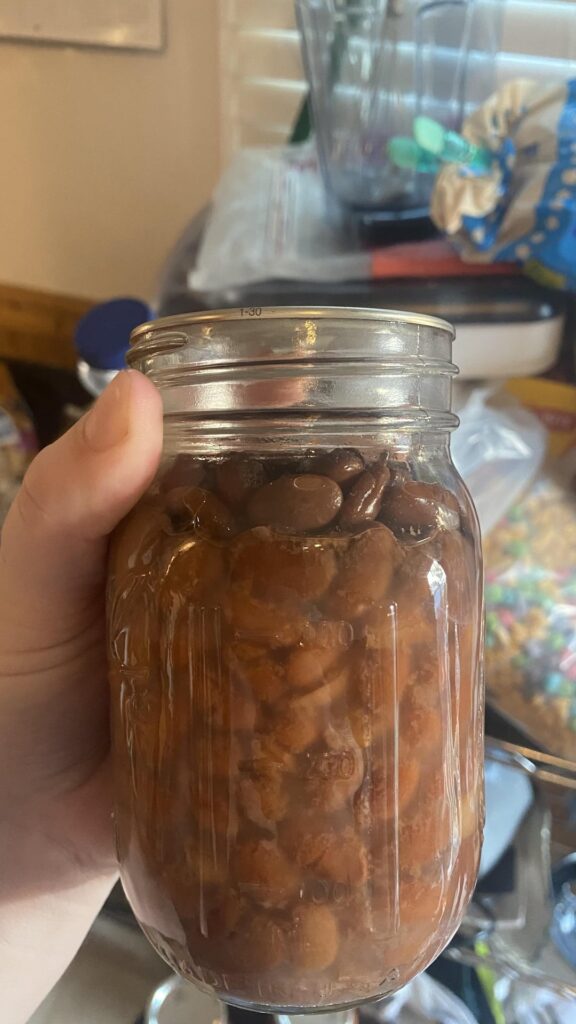 Pinto Beans Pinto Beans