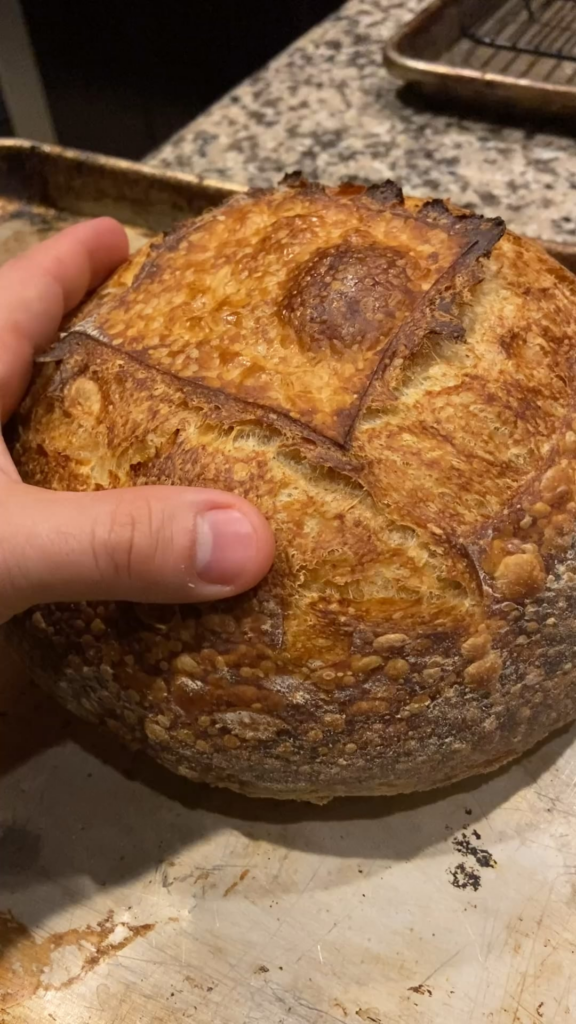 First Sourdough Boule