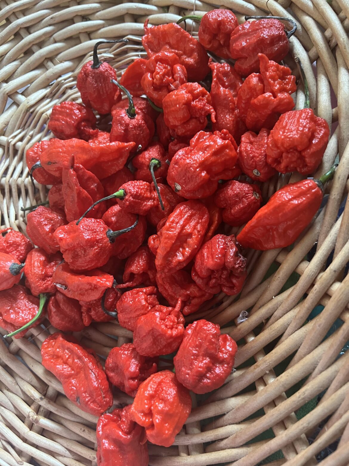 How to reduce the spiciness of food so I can eat it? How to reduce the spiciness of food so I can eat it?