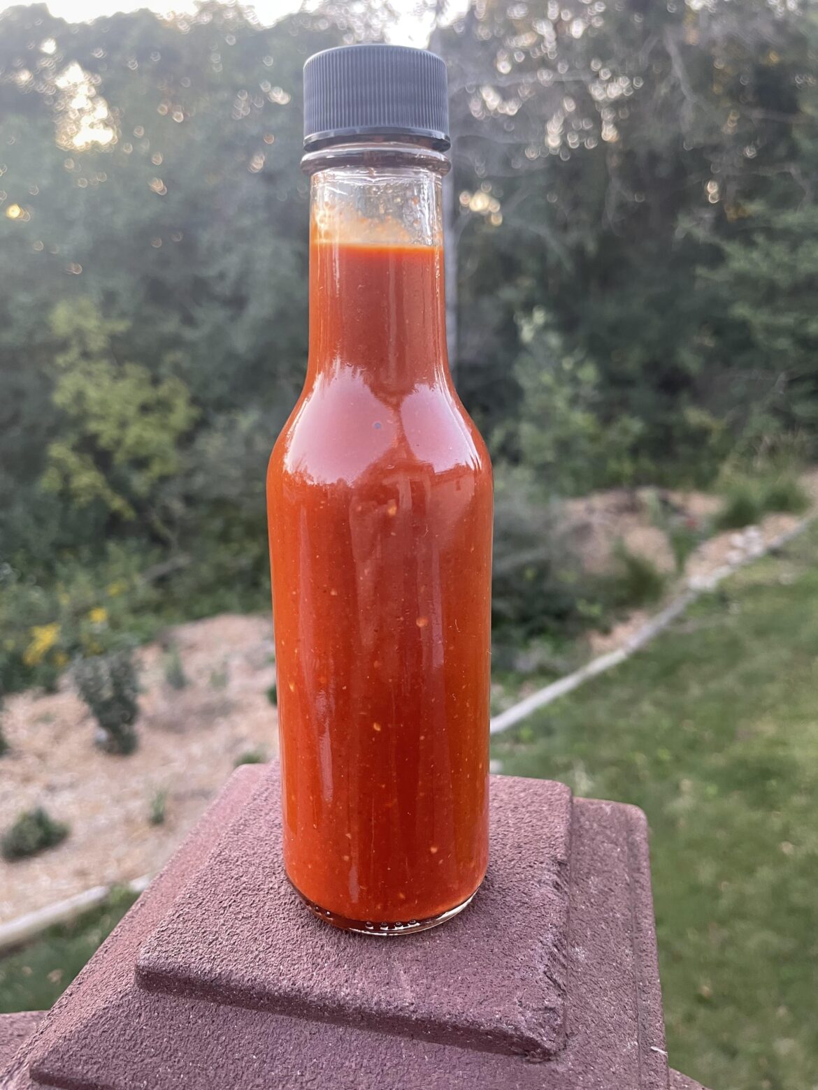 Just made a tasty sauce with chocolate primotallis and 7 pot primos.