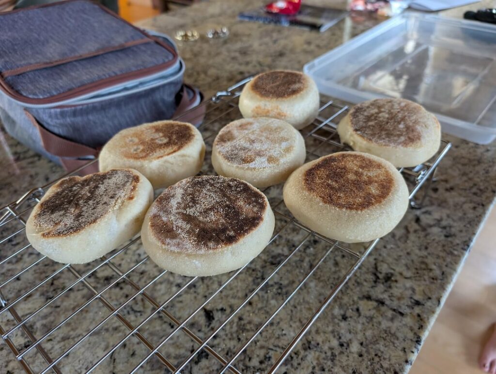 Sourdough English Muffins